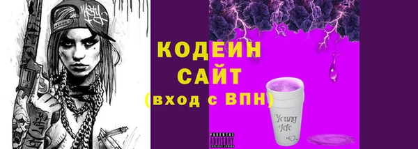 прущие крисы Ельня