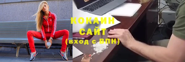 молекула духа Елизово