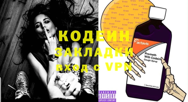прущие крисы Ельня