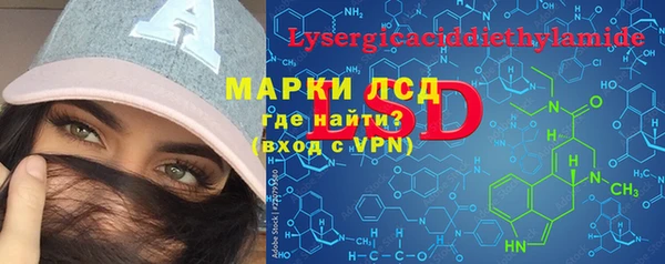 молекула духа Елизово