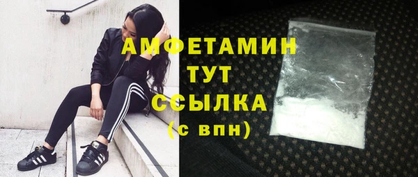 молекула духа Елизово