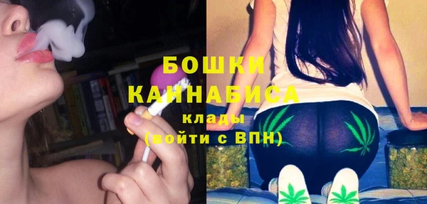 прущие крисы Ельня