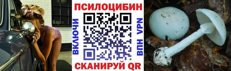 Галлюциногенные грибы Psilocybine cubensis  гидра сайт  Малоархангельск 